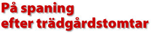 P&aring; spaning efter tr&auml;dg&aring;rdstomtar
