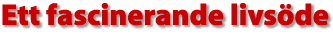 Ett fascinerande livs&ouml;de