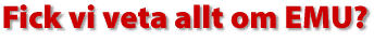 Fick vi veta allt om EMU?