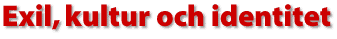 Exil, kultur och identitet