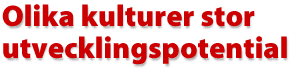 Olika kulturer stor utvecklingspotential