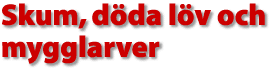 Skum d&ouml;da l&ouml;v och  mygglarver