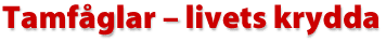 Tamf&aring;glar - livets krydda