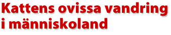 Kattens ovissa vandring i m&auml;nniskoland