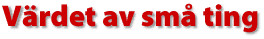 V&auml;rdet av sm&aring; ting
