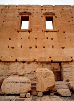 Bild från Palmyra