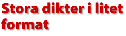 Stora dikter i litet format
