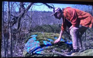 ur video: Konstnären Bazinato på skogsutflykt